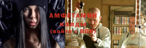 ГАЛЛЮЦИНОГЕННЫЕ ГРИБЫ Богданович