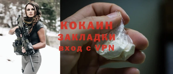 ГАЛЛЮЦИНОГЕННЫЕ ГРИБЫ Богданович