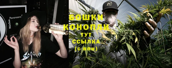 ГАЛЛЮЦИНОГЕННЫЕ ГРИБЫ Богданович