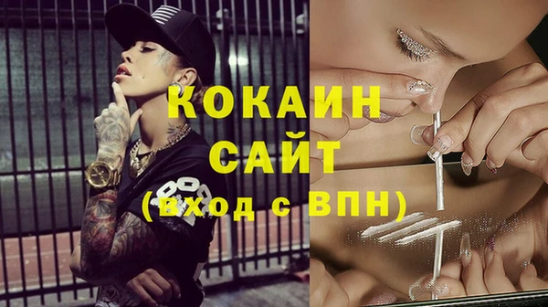 ГАЛЛЮЦИНОГЕННЫЕ ГРИБЫ Богданович