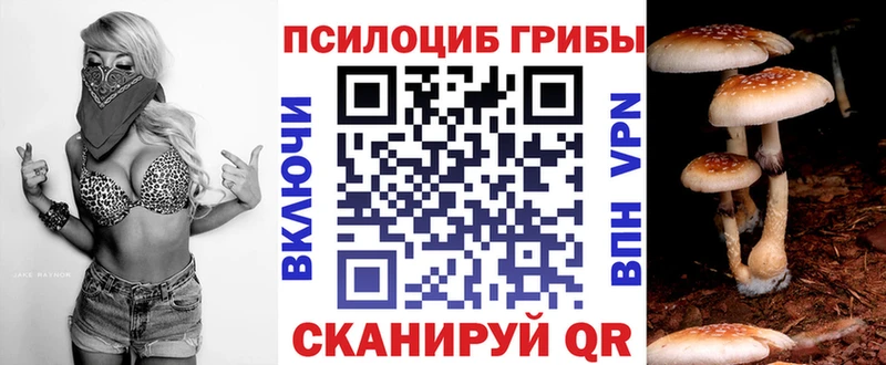 Купить закладки Дедовск Галлюциногенные грибы MAGIC MUSHROOMS