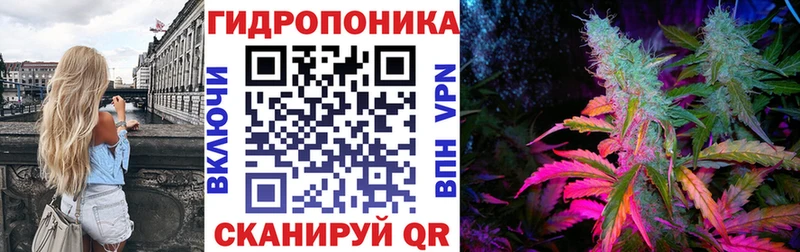 Бошки марихуана сатива Дедовск